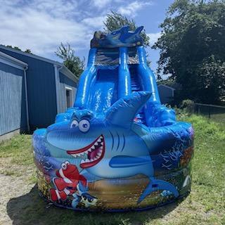 Shark Waterslide