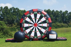 10ft Multi Game Board