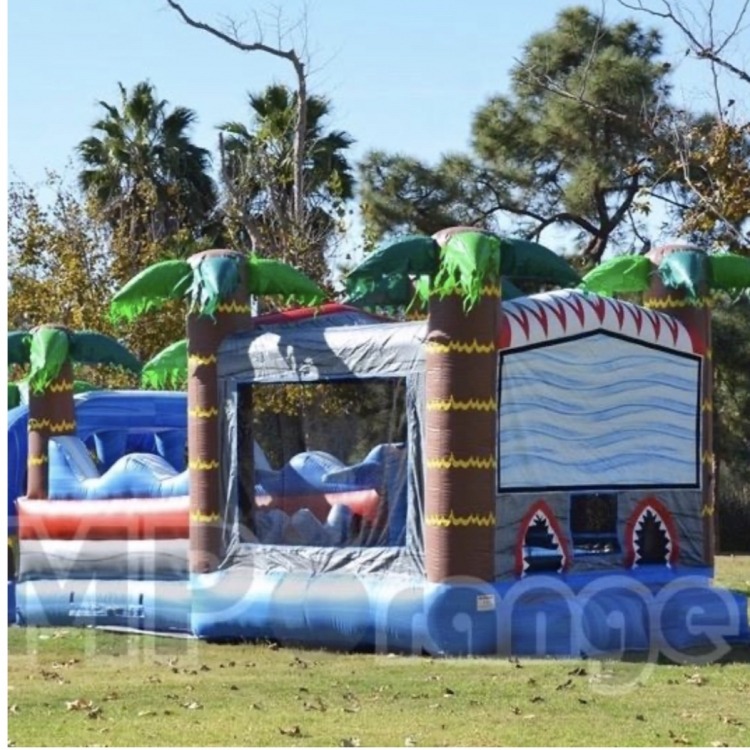 Shark Bouncer Obstacle