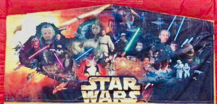 Panel Star Wars