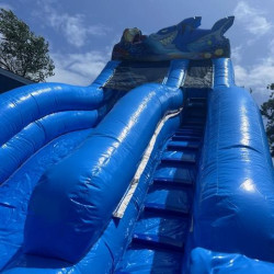 Shark Waterslide